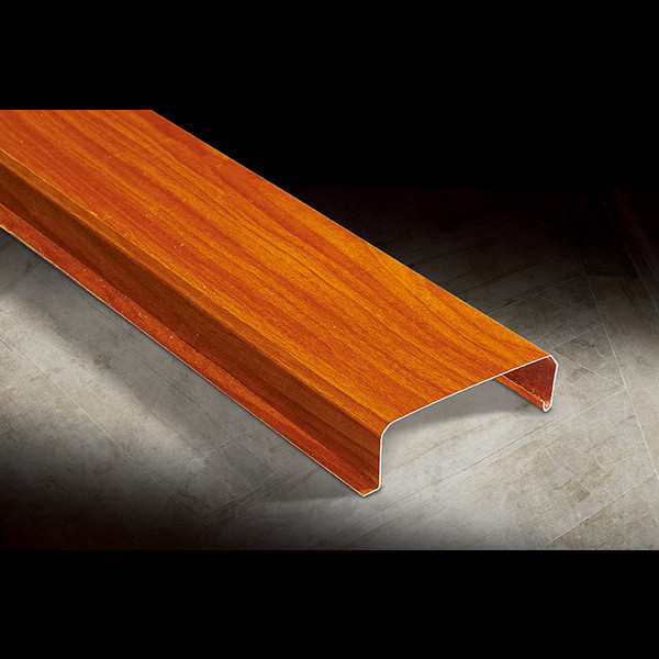 G-Shaped strip