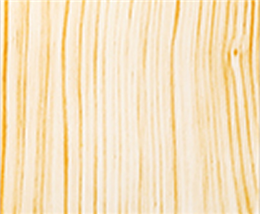 American Red Cherry