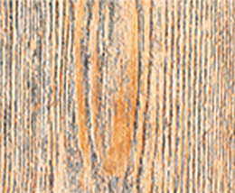 Snow leopard grain